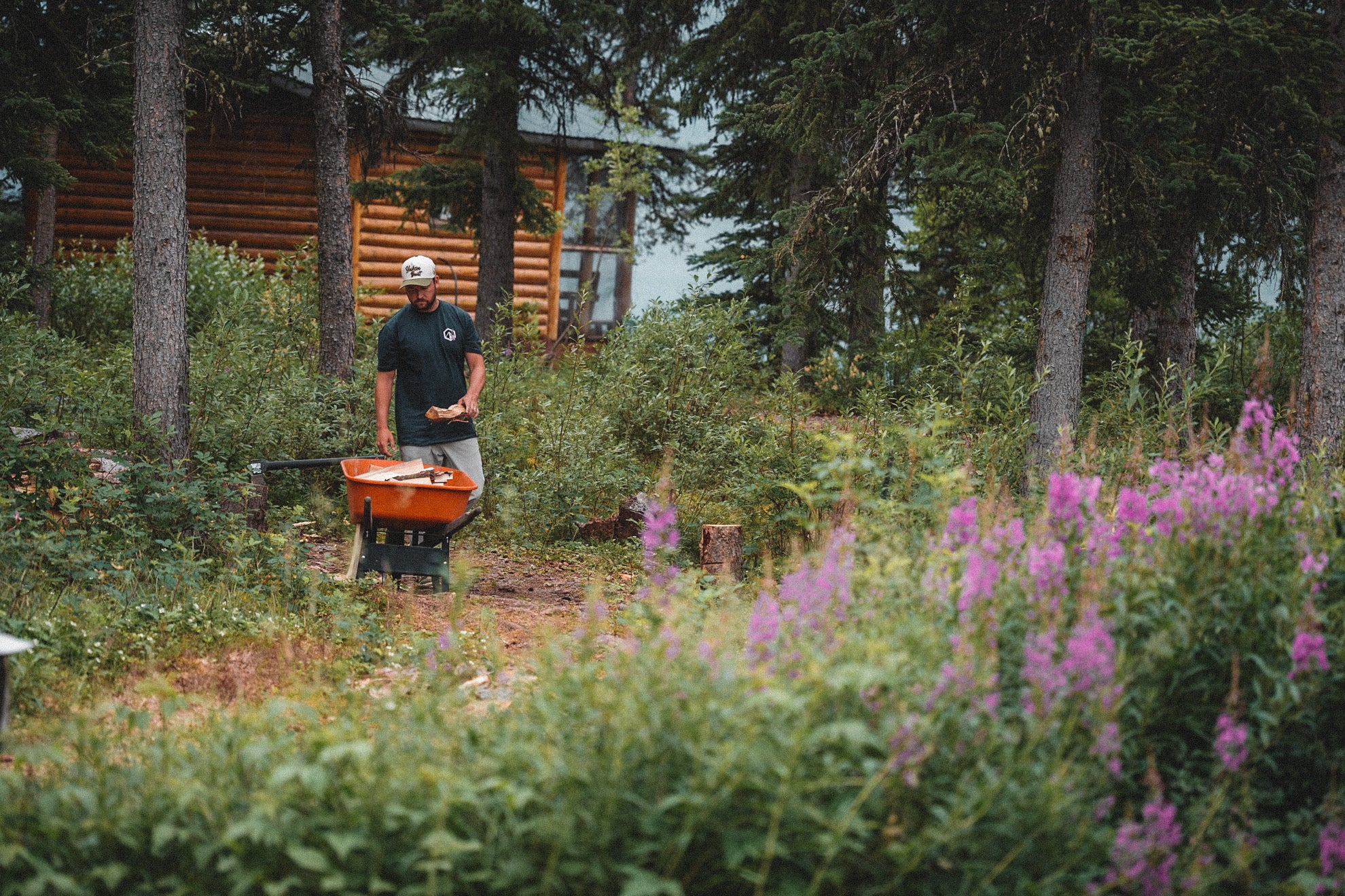 The Fireweed Collection