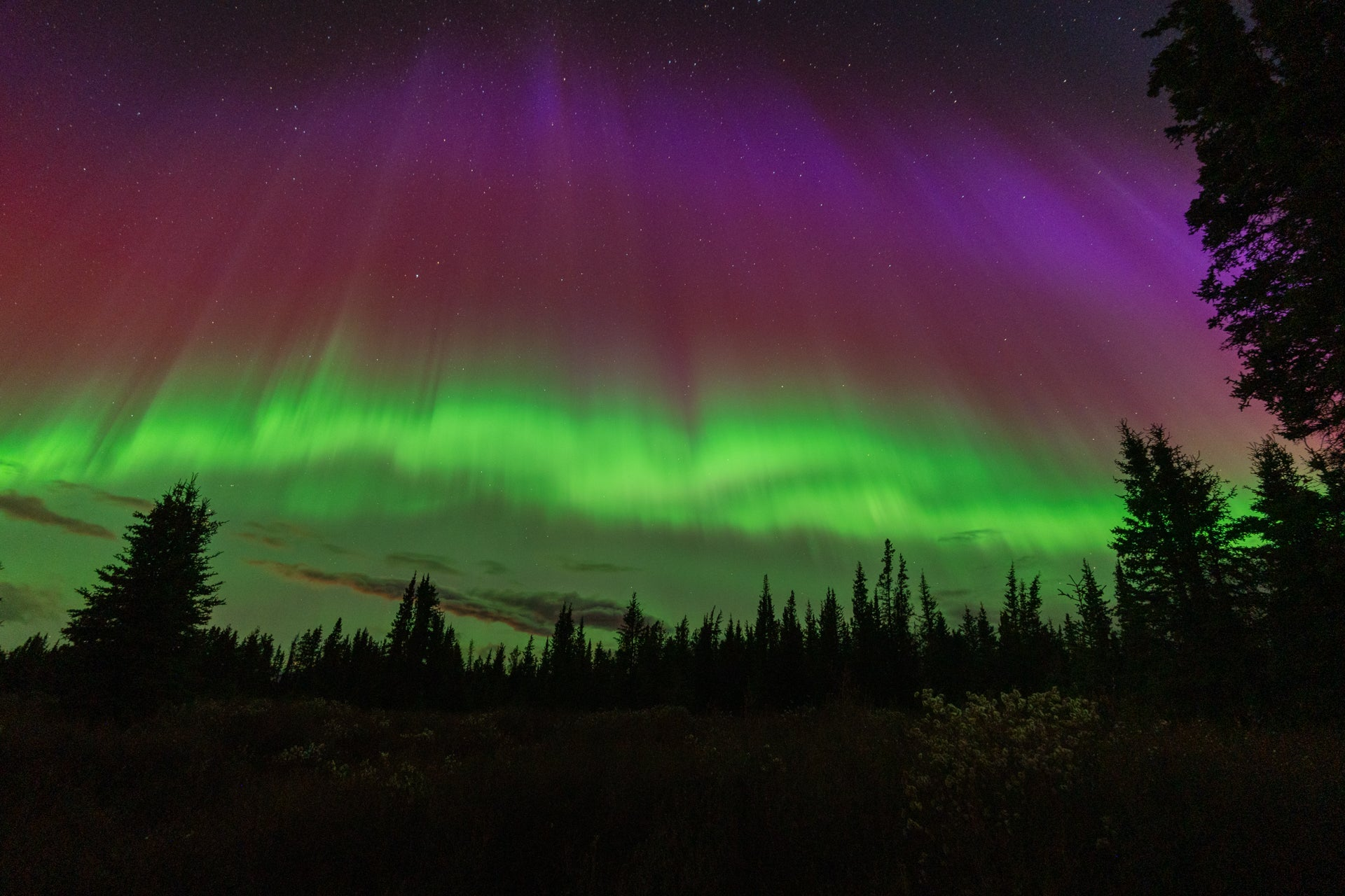 Northern Lights Collection
