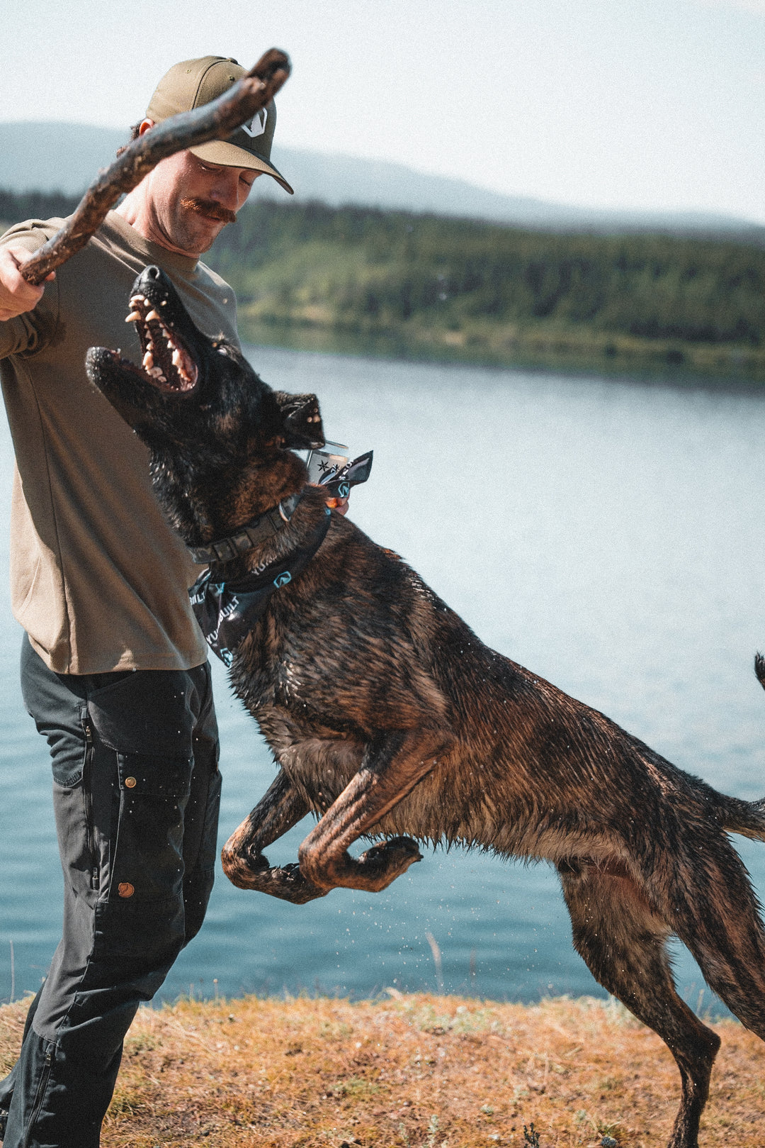 Dog Bandana - Glacier Black