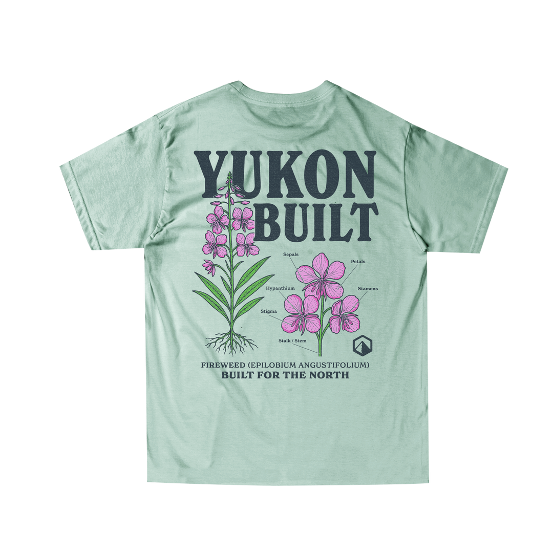 Fireweed Anatomy Tee - Seafoam