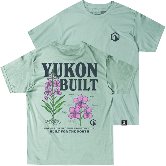 Fireweed Anatomy Tee - Seafoam